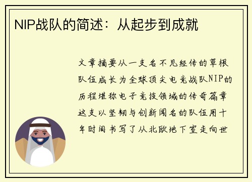 NIP战队的简述：从起步到成就